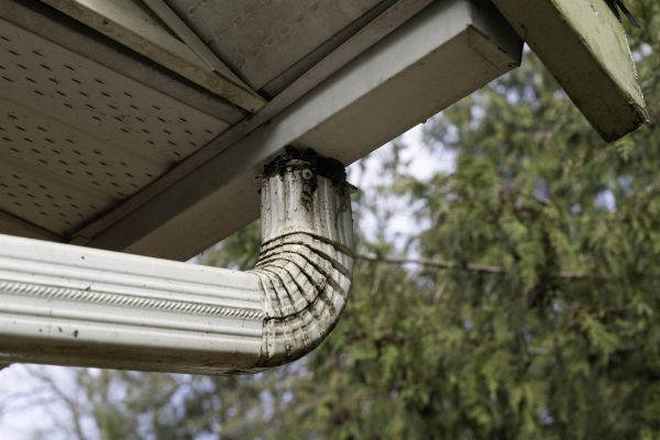 Cost of Roof Drain Replacement in Largo