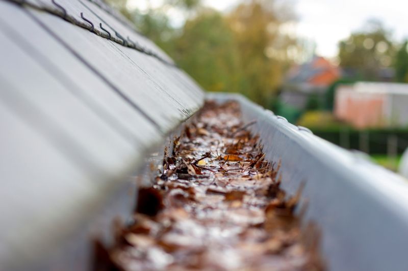Clogged Gutter Blockages