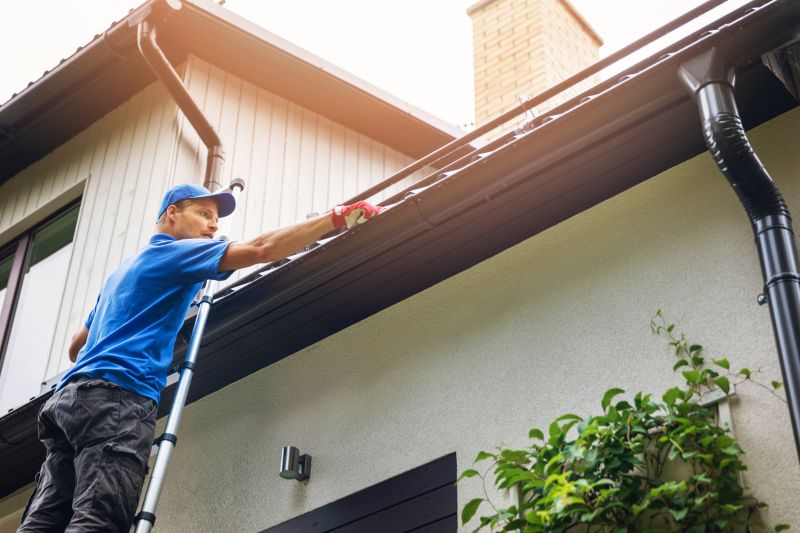 Handyman Services for Gutters